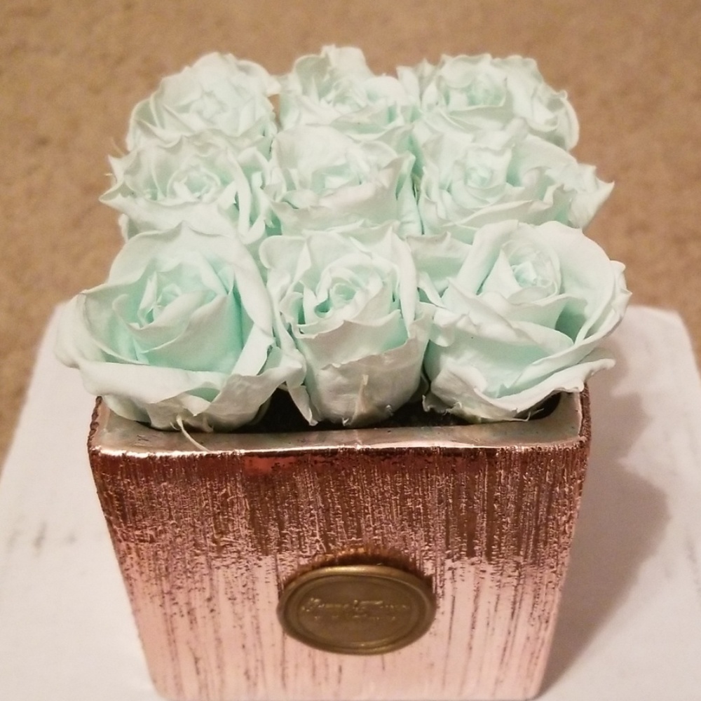 Grandfleur teal Roses